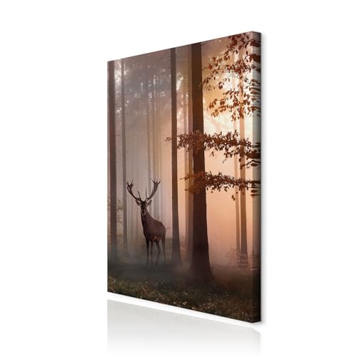 decomonkey Akustikbild Hirsch 80x120 cm 1 Teilig Leinwand Modern Bilder Wandbilder XXL Schallschlucker Schallschutz Akustikdämmung Wandbild Deko Leise Natur Tiere Wald decomonkey Akustikbild Hirsch 80x120 cm 1 Teilig Leinwand Modern Bilder Wandbilder XXL Schallschlucker Schallschutz Akustikdämmung Wandbild Deko Leise Natur Tiere Wald von decomonkey