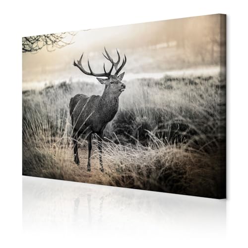 decomonkey Akustikbild Hirsch120x80 cm 1 Teilig Leinwand Modern Bilder Wandbilder XXL Schallschlucker Schallschutz Akustikdämmung Wandbild Deko Leise Natur Tiere Landschaft decomonkey Akustikbild Hirsch120x80 cm 1 Teilig Leinwand Modern Bilder Wandbilder XXL Schallschlucker Schallschutz Akustikdämmung Wandbild Deko Leise Natur Tiere Landschaft von decomonkey