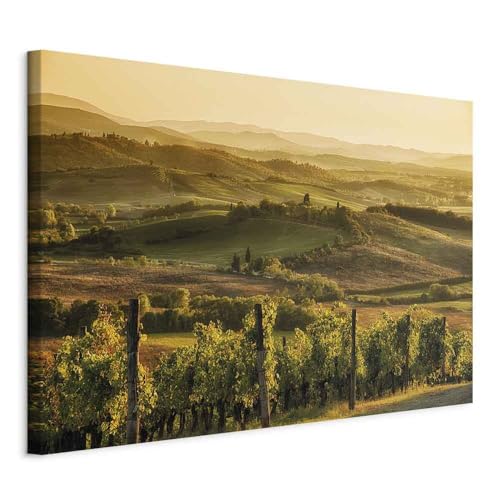 decomonkey Akustikbild Landschaft 120x80 cm 1 Teilig Leinwand Modern Bilder Wandbilder XXL Schallschlucker Schallschutz Akustikdämmung Wandbild Deko Leise Weinberge Gebirge Natur Pflanzen grün von decomonkey
