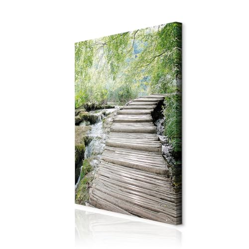 decomonkey Akustikbild Natur 80x120 cm 1 Teilig Leinwand Modern Bilder Wandbilder XXL Schallschlucker Schallschutz Akustikdämmung Wandbild Deko Leise Wald Baum decomonkey Akustikbild Natur 80x120 cm 1 Teilig Leinwand Modern Bilder Wandbilder XXL Schallschlucker Schallschutz Akustikdämmung Wandbild Deko Leise Wald Baum von decomonkey