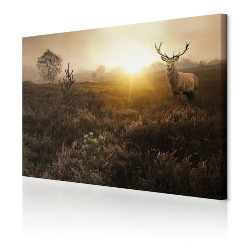 decomonkey Akustikbild Natur Hirsch 120x80 cm 1 Teilig Leinwand Modern Bilder Wandbilder XXL Schallschlucker Schallschutz Akustikdämmung Wandbild Deko Leise Landschaft Bäume Tiere Natur Sonne decomonkey Akustikbild Natur Hirsch 120x80 cm 1 Teilig Leinwand Modern Bilder Wandbilder XXL Schallschlucker Schallschutz Akustikdämmung Wandbild Deko Leise Landschaft Bäume Tiere Natur Sonne von decomonkey