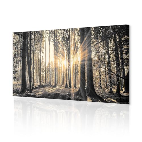 decomonkey Akustikbild Wald 120x40 cm XXL 1 Teilig Leinwand Modern Bilder Wandbilder XXL Schallschlucker Schallschutz Akustikdämmung Wandbild Deko Leise Natur Landschaft von decomonkey