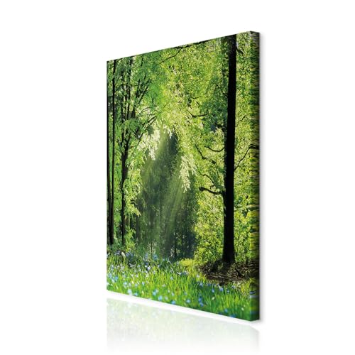 decomonkey Akustikbild Wald 60x90 cm 1 Teilig Leinwand Modern Bilder Wandbilder XXL Schallschlucker Schallschutz Akustikdämmung Wandbild Deko Leise Natur Blumen Baum decomonkey Akustikbild Wald 60x90 cm 1 Teilig Leinwand Modern Bilder Wandbilder XXL Schallschlucker Schallschutz Akustikdämmung Wandbild Deko Leise Natur Blumen Baum von decomonkey