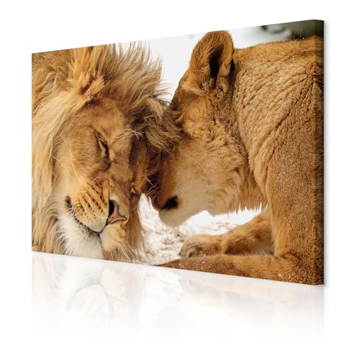 decomonkey Akustikbild Wandbilder Löwe Afrika 120x80 cm 1 Teilig Leinwand Modern Bilder Wandbilder XXL Schallschlucker Schallschutz Akustikdämmung Wandbild Deko Leise Tiere Wildlife Natur decomonkey Akustikbild Wandbilder Löwe Afrika 120x80 cm 1 Teilig Leinwand Modern Bilder Wandbilder XXL Schallschlucker Schallschutz Akustikdämmung Wandbild Deko Leise Tiere Wildlife Natur von decomonkey