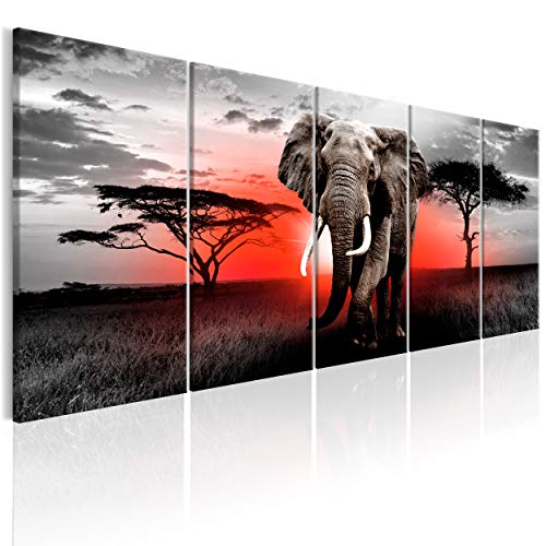 decomonkey Bilder Afrika Tiere Elefant 200x80 cm 5 Teilig Leinwandbilder Bild auf Leinwand Wandbild Kunstdruck Wanddeko Wand Wohnzimmer Wanddekoration Deko Sonenuntergang Landschaft Baum grau rot von decomonkey