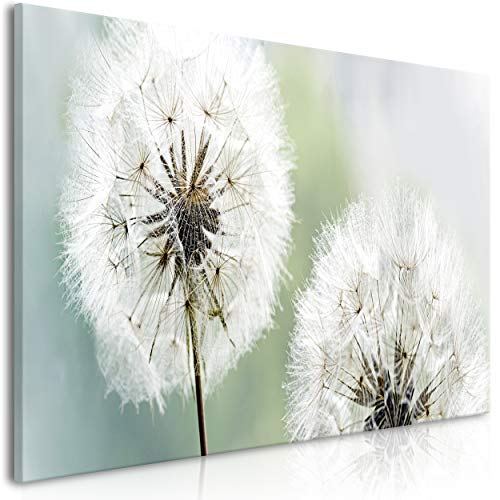 decomonkey Bilder Blumen Pusteblumen grau 100x45 cm 1 Teilig Leinwandbilder Bild auf Leinwand Vlies Wandbild Kunstdruck Wanddeko Wand Wohnzimmer Wanddekoration Deko Natur von decomonkey