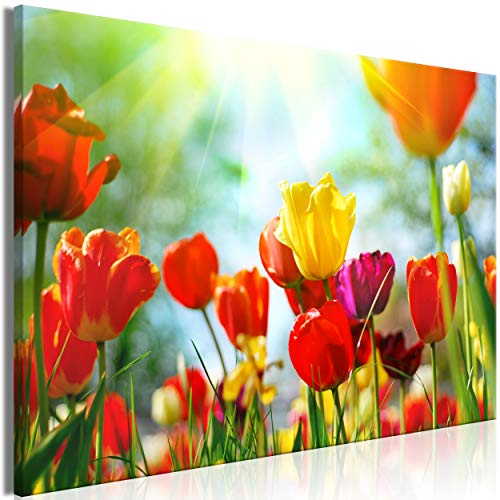 decomonkey Bilder Blumen Tulpen 60x40 cm 1 Teilig Leinwandbilder Bild auf Leinwand Vlies Wandbild Kunstdruck Wanddeko Wand Wohnzimmer Wanddekoration Deko Natur bunt Frühling von decomonkey