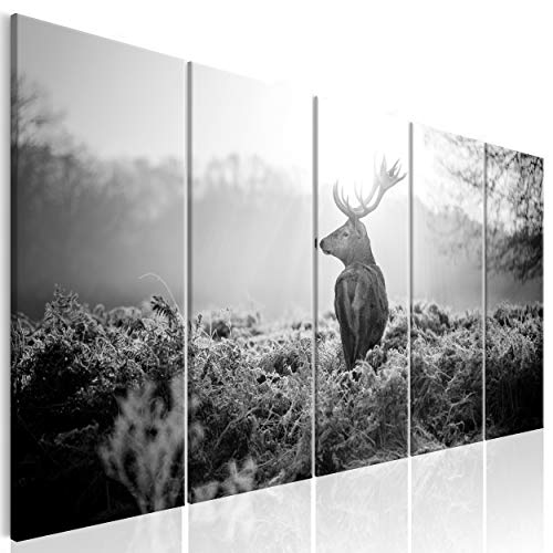 decomonkey Bilder Hirsch 100x40 cm 5 Teilig Leinwandbilder Bild auf Leinwand Wandbild Kunstdruck Wanddeko Wand Wohnzimmer Wanddekoration Deko Tiere Landschaft Sonnenuntergang Natur grau von decomonkey