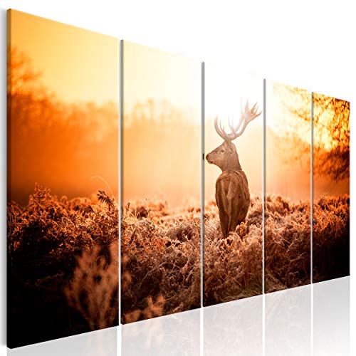 decomonkey Bilder Hirsch 100x40 cm 5 Teilig Leinwandbilder Bild auf Leinwand Wandbild Kunstdruck Wanddeko Wand Wohnzimmer Wanddekoration Deko Tiere Landschaft Sonnenuntergang Natur von decomonkey