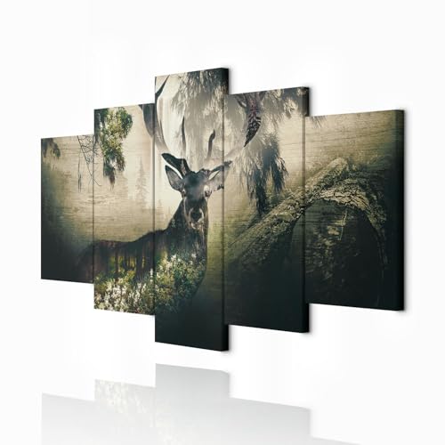 decomonkey Bilder Tiere 200x100 cm 5 Teilig Wandbild Groß Leinwandbild XXL Deko Wohnzimmer Schlafzimmer Büro Wanddeko Leinwand Pictures For Wall Poster Wall Painting Wandbilder Set Natur Abstrakte von decomonkey