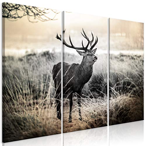 decomonkey Bilder Hirsch 60x40 cm 3 Teilig Wandbild Groß Leinwandbild XXL Deko Wohnzimmer Schlafzimmer Büro Wanddeko Leinwand Pictures For Wall Poster Wall Painting Natur Tiere Landschaft von decomonkey