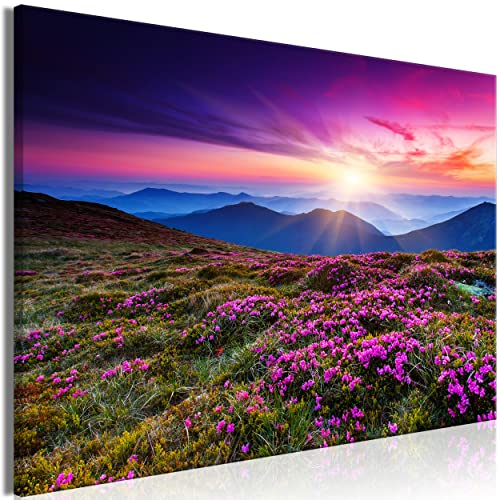 decomonkey Bilder Landschaft 60x40 cm 1 Teilig Leinwandbilder Bild auf Leinwand Vlies Wandbild Kunstdruck Wanddeko Wand Wohnzimmer Wanddekoration Deko Modern Berge Blumen Sonne Himmel grün rosa von decomonkey