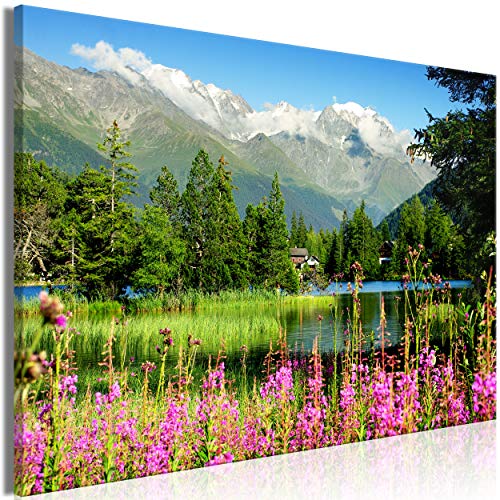 decomonkey Bilder Landschaft Natur 60x40 cm 1 Teilig Leinwandbilder Bild auf Leinwand Vlies Wandbild Kunstdruck Wanddeko Wand Wohnzimmer Wanddekoration Deko Gebirge Blumen See von decomonkey