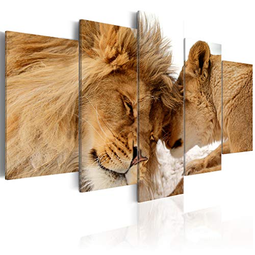 decomonkey Bilder Tiere 225x112.5 cm 5 Teilig Wandbild Groß Leinwandbild XXL Deko Wohnzimmer Schlafzimmer Büro Wanddeko Leinwand Pictures For Wall Poster Wall Painting Wandbilder Set Natur Abstrakte von decomonkey