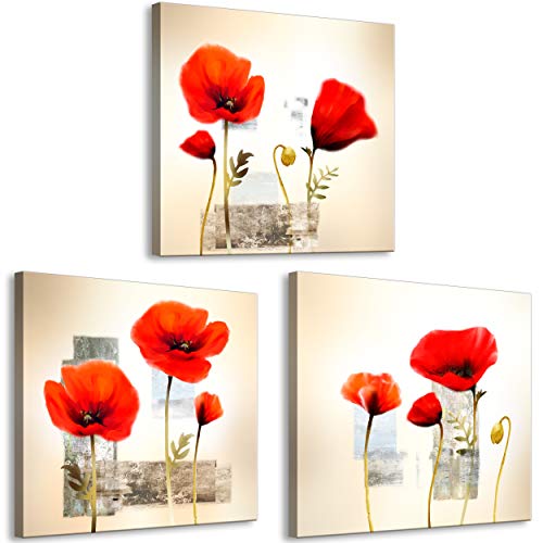 decomonkey Bilder Mohnblumen 60x20 cm 3 Teilig Wandbild Groß Leinwandbild XXL Deko Wohnzimmer Schlafzimmer Büro Wanddeko Leinwand Pictures For Wall Poster Wall Painting Blumen Abstrakt von decomonkey