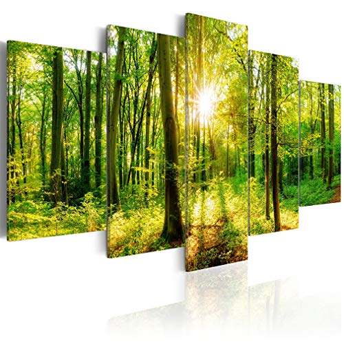 decomonkey Bilder Natur 100x50 cm 5 Teilig Wandbild Groß Leinwandbild XXL Deko Wohnzimmer Schlafzimmer Büro Wanddeko Leinwand Pictures For Wall Poster Wall Painting Abstrakte von decomonkey