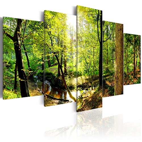 decomonkey Bilder Natur 150x75 cm 5 Teilig Wandbild Groß Leinwandbild XXL Deko Wohnzimmer Schlafzimmer Büro Wanddeko Leinwand Pictures For Wall Poster Wall Painting Abstrakte von decomonkey