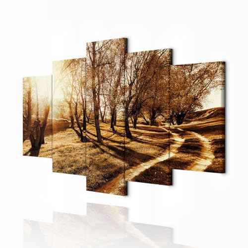decomonkey Bilder Natur 200x100 cm 5 Teilig Wandbild Groß Leinwandbild XXL Deko Wohnzimmer Schlafzimmer Büro Wanddeko Leinwand Pictures For Wall Poster Wall Painting Abstrakte von decomonkey