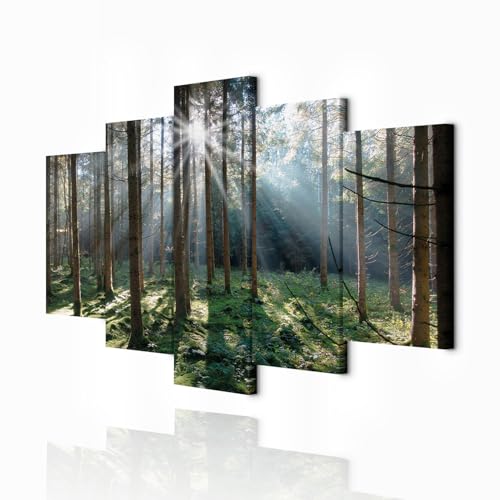decomonkey Bilder Natur 225x112.5 cm 5 Teilig Wandbild Groß Leinwandbild XXL Deko Wohnzimmer Schlafzimmer Büro Wanddeko Leinwand Pictures For Wall Poster Wall Painting Abstrakte decomonkey Bilder Natur 225x112.5 cm 5 Teilig Wandbild Groß Leinwandbild XXL Deko Wohnzimmer Schlafzimmer Büro Wanddeko Leinwand Pictures For Wall Poster Wall Painting Abstrakte von decomonkey