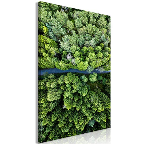 decomonkey Bilder Natur 40x60 cm 1 Teilig Leinwandbilder Bild auf Leinwand Vlies Wandbild Kunstdruck Wanddeko Wand Wohnzimmer Wanddekoration Deko Wald von decomonkey