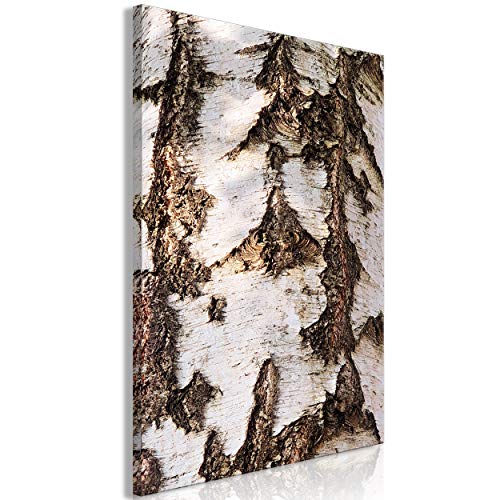 decomonkey Bilder Natur Baum 40x60 cm 1 Teilig Leinwandbilder Bild auf Leinwand Vlies Wandbild Kunstdruck Wanddeko Wand Wohnzimmer Wanddekoration Deko Baumrinde von decomonkey