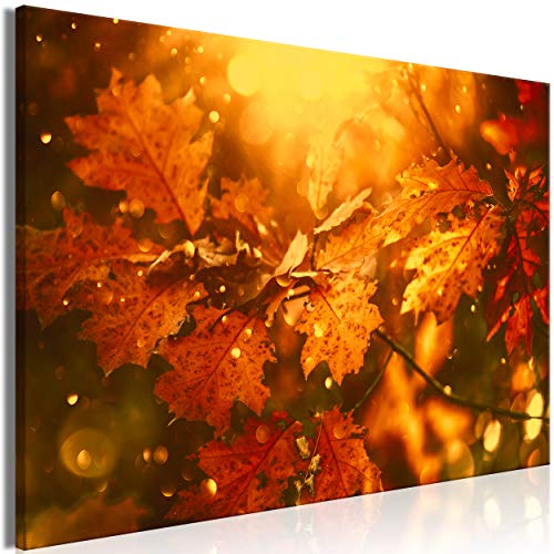 decomonkey Bilder Natur Herbst 60x40 cm 1 Teilig Leinwandbilder Bild auf Leinwand Vlies Wandbild Kunstdruck Wanddeko Wand Wohnzimmer Wanddekoration Deko Baum Laub von decomonkey