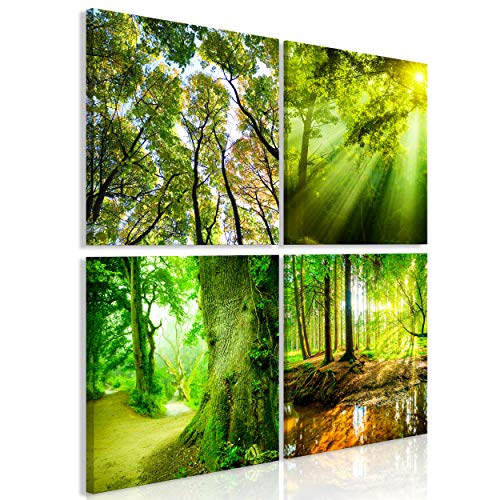 decomonkey Bilder Natur Wald 4 Teilig- jedes Teil 30x30 cm | Leinwandbilder Bild auf Leinwand Vlies Wandbild Kunstdruck Wanddeko Wand Wohnzimmer Wanddekoration Deko Baum Landschaft von decomonkey