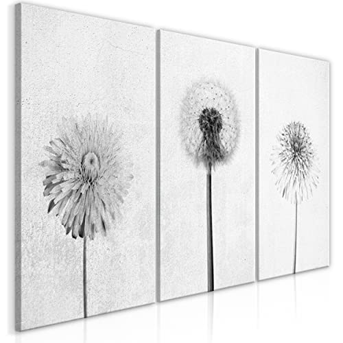 decomonkey Bilder Pusteblume 60x30 cm 3 Teilig Wandbild Groß Leinwandbild XXL Deko Wohnzimmer Schlafzimmer Büro Wanddeko Leinwand Pictures For Wall Poster Modern Löwenzahn Blumen grau weiß von decomonkey