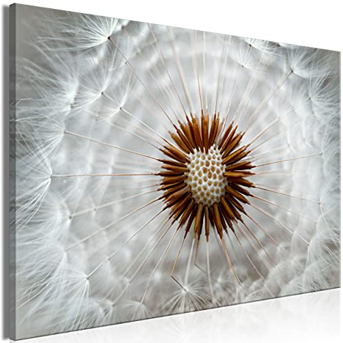 decomonkey Bilder Pusteblume 60x40 cm 1 Teilig Leinwandbilder Bild auf Leinwand Vlies Wandbild Kunstdruck Wanddeko Wand Wohnzimmer Wanddekoration Deko Blumen Natur Löwenzahn Pflanzen grau braun von decomonkey