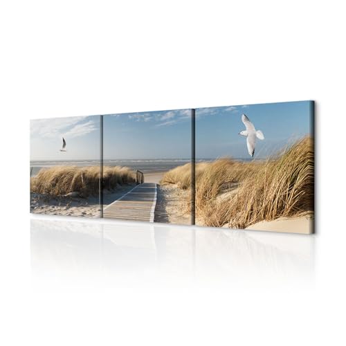 decomonkey Bilder Set Strand 60x20 cm 3 Teilig Wandbild Groß Leinwandbild XXL Deko Wohnzimmer Schlafzimmer Büro Wanddeko Leinwand Pictures For Wall Poster Painting Meer Sand Möwen Vögel Gras Wellen decomonkey Bilder Set Strand 60x20 cm 3 Teilig Wandbild Groß Leinwandbild XXL Deko Wohnzimmer Schlafzimmer Büro Wanddeko Leinwand Pictures For Wall Poster Painting Meer Sand Möwen Vögel Gras Wellen von decomonkey