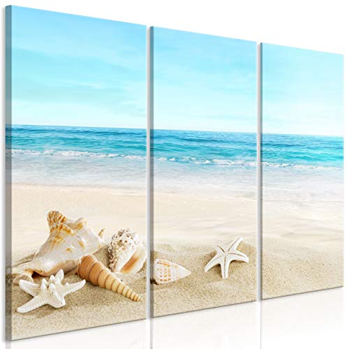 decomonkey Bilder Strand Meer 120x80 cm 3 Teilig Wandbild Groß Leinwandbild XXL Deko Wohnzimmer Schlafzimmer Büro Wanddeko Leinwand Pictures For Wall Poster Wall Painting Schale von decomonkey