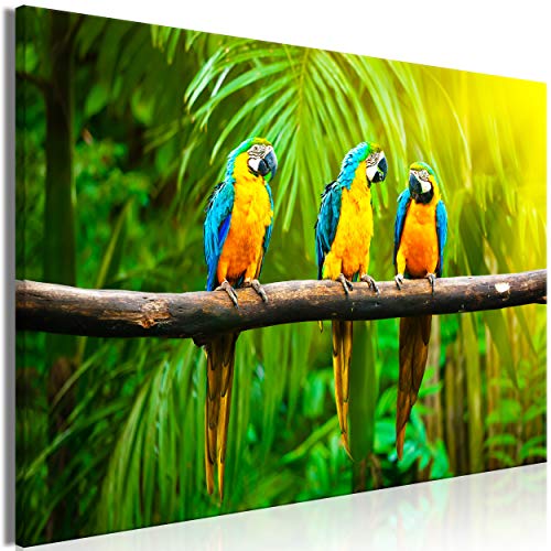 decomonkey Bilder Tiere Papageien 90x60 cm 1 Teilig Leinwandbilder Bild auf Leinwand Vlies Wandbild Kunstdruck Wanddeko Wand Wohnzimmer Wanddekoration Deko Pflanzen Natur von decomonkey