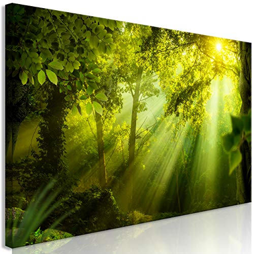 decomonkey Bilder Wald 120x40 cm 1 Teilig Leinwandbilder Bild auf Leinwand Vlies Wandbild Kunstdruck Wanddeko Wand Wohnzimmer Wanddekoration Deko Natur Landschaft von decomonkey