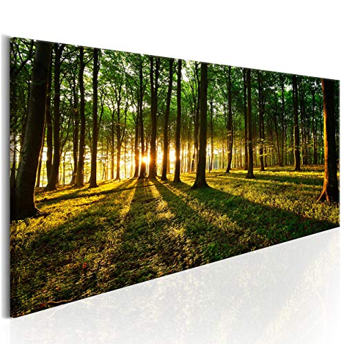 decomonkey Bilder Wald 135x45 cm XXL 1 Teilig Leinwandbilder Bild auf Leinwand Vlies Wandbild Kunstdruck Wanddeko Wand Wohnzimmer Wanddekoration Deko Natur Landschaft Sonne von decomonkey