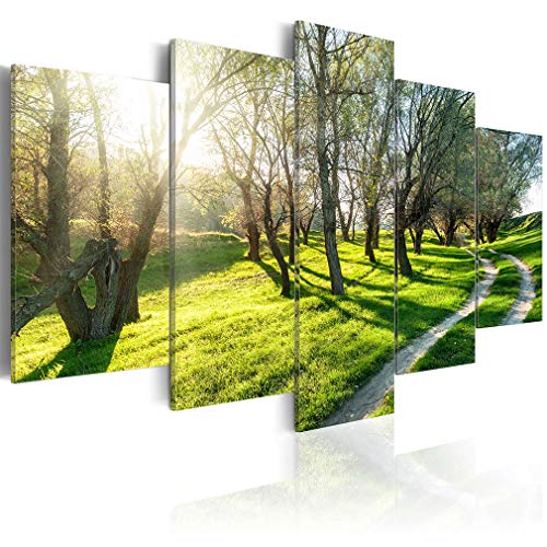 decomonkey Bilder Natur 225x112.5 cm 5 Teilig Wandbild Groß Leinwandbild XXL Deko Wohnzimmer Schlafzimmer Büro Wanddeko Leinwand Pictures For Wall Poster Wall Painting Abstrakte von decomonkey