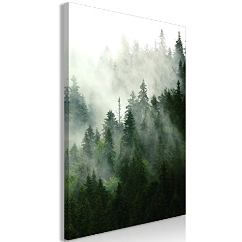 decomonkey Bilder Wald 40x60 cm 1 Teilig Leinwandbilder Bild auf Leinwand Vlies Wandbild Kunstdruck Wanddeko Wand Wohnzimmer Wanddekoration Deko Natur Landschaft von decomonkey