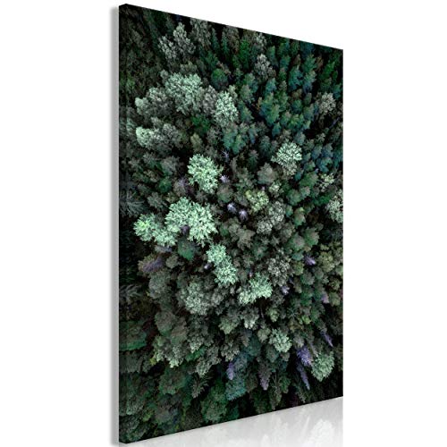 decomonkey Bilder Wald 40x60 cm 1 Teilig Leinwandbilder Bild auf Leinwand Vlies Wandbild Kunstdruck Wanddeko Wand Wohnzimmer Wanddekoration Deko Natur von decomonkey