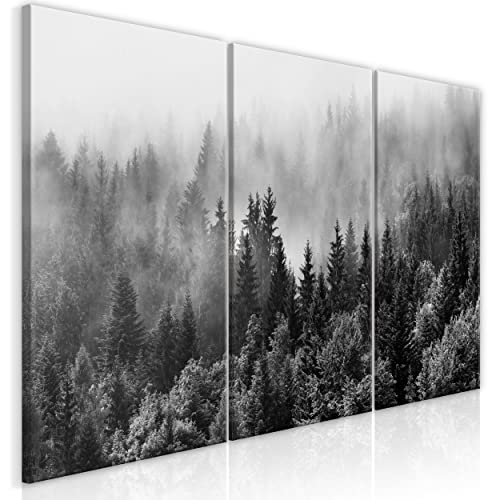 decomonkey Bilder Wald 60x30 cm 3 Teilig Wandbild Groß Leinwandbild XXL Deko Wohnzimmer Schlafzimmer Büro Wanddeko Leinwand Pictures For Wall Poster Wall Painting Baum Nebel Schwarz- Weiß Grau von decomonkey