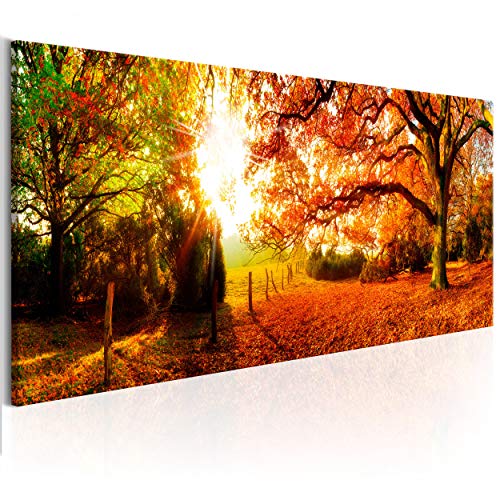 decomonkey Bilder Wald Herbst 120x40 cm XXL 1 Teilig Leinwandbilder Bild auf Leinwand Vlies Wandbild Kunstdruck Wanddeko Wand Wohnzimmer Wanddekoration Deko Natur Landschaft von decomonkey