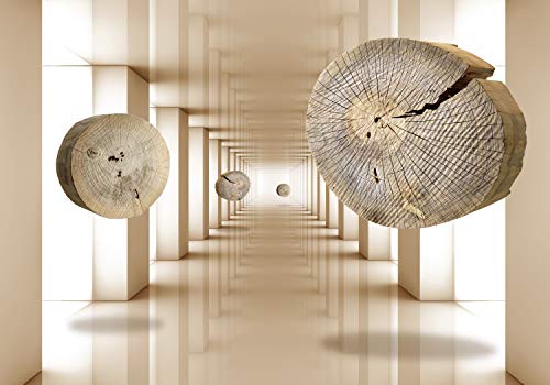 decomonkey Fototapete 3d Effekt Holz 300x210 cm XL Tapete Fototapeten Vlies Tapeten Vliestapete Wandtapete moderne Wandbild Wand Schlafzimmer Wohnzimmer Architektur Tunnel Abstrakt von decomonkey