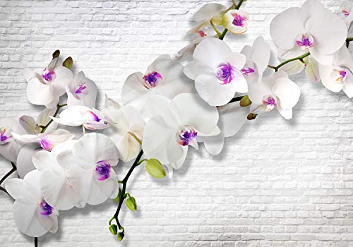 decomonkey Fototapete Blumen Steinwand Stein 350x256 cm XL Tapete Wandbild Wandbild Bild Fototapeten Tapeten Wandtapete Wandtapete Orchidee Ziegel Pflanzen von decomonkey