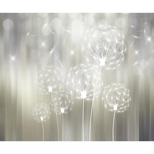 decomonkey Fototapete Pusteblume 400x280 cm XL Tapete Fototapeten Vlies Tapeten Vliestapete Wandtapete moderne Wandbild Wand Schlafzimmer Wohnzimmer Blumen Abstrakt von decomonkey