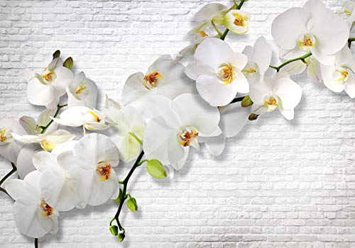 decomonkey Fototapete selbstklebend Blumen Steinwand Stein 245x175 cm XL Selbstklebende Tapeten Wand Fototapeten Tapete Wandtapete klebend Klebefolie Orchidee Ziegel Pflanzen von decomonkey