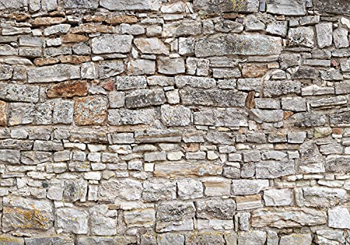 decomonkey Fototapete selbstklebend Steinwand Stein 343x256 cm XL Selbstklebende Tapeten Wand Fototapeten Tapete Wandtapete klebend Klebefolie Ziegel von decomonkey