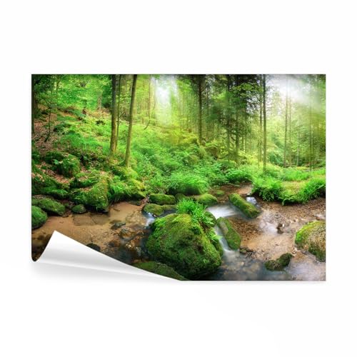 decomonkey Fototapete selbstklebend Wald 343x256 cm XL Selbstklebende Tapeten Wand Fototapeten Tapete Wandtapete klebend Klebefolie Natur Landschaft von decomonkey