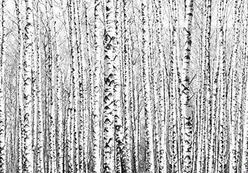 decomonkey Fototapete selbstklebend Wald 343x256 cm XXL Selbstklebende Tapeten Wand Fototapeten Tapete Wandtapete klebend Klebefolie Baum von decomonkey