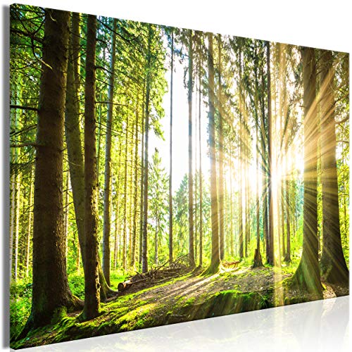 decomonkey | Mega XXXL Bilder Wald Baum | Wandbild Leinwand 160x80 cm Selbstmontage DIY Einteiliger XXL Kunstdruck zum aufhängen | Natur Landschaft grün decomonkey | Mega XXXL Bilder Wald Baum | Wandbild Leinwand 160x80 cm Selbstmontage DIY Einteiliger XXL Kunstdruck zum aufhängen | Natur Landschaft grün von decomonkey
