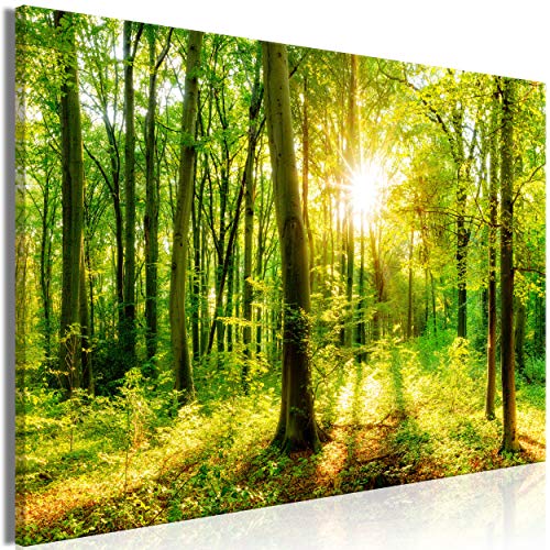 decomonkey | Mega XXXL Bilder Wald Baum | Wandbild Leinwand 160x80 cm Selbstmontage DIY Einteiliger XXL Kunstdruck zum aufhängen | Natur Landschaft grün von decomonkey