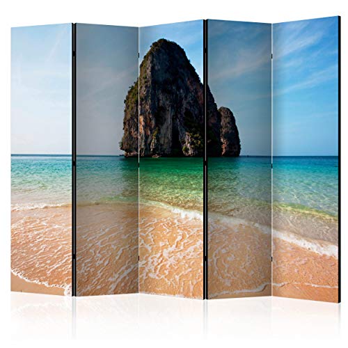 decomonkey Paravent Raumteiler Innen Meer Natur 225x172 cm 5 Teilig Einseitig Room Divider Wall Raumteiler Stehend Trennwand Sichtschutz Spanische Wand Sichtschutzwand Wohnzimmer Holz Strand von decomonkey