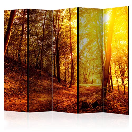 decomonkey Paravent Raumteiler Innen Wald 225x172 cm 5 Teilig Beidseitig Room Divider Wall Raumteiler Stehend Trennwand Sichtschutz Spanische Wand Sichtschutzwand Wohnzimmer Holz Baum Natur Herbst von decomonkey